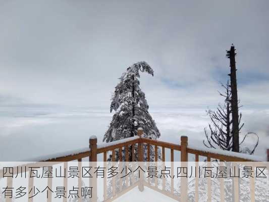 四川瓦屋山景区有多少个景点,四川瓦屋山景区有多少个景点啊