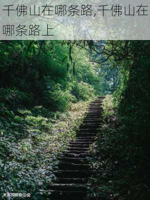 千佛山在哪条路,千佛山在哪条路上