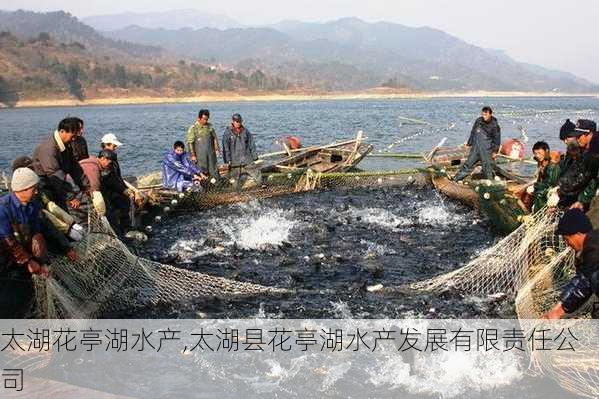 太湖花亭湖水产,太湖县花亭湖水产发展有限责任公司