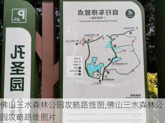 佛山三水森林公园攻略路线图,佛山三水森林公园攻略路线图片