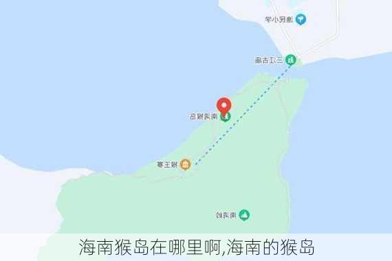 海南猴岛在哪里啊,海南的猴岛