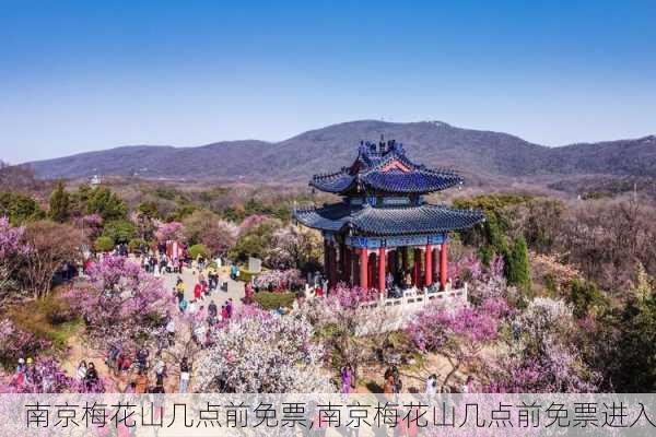 南京梅花山几点前免票,南京梅花山几点前免票进入