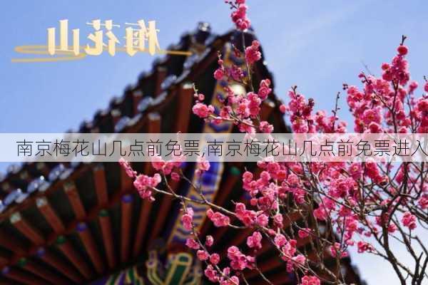 南京梅花山几点前免票,南京梅花山几点前免票进入