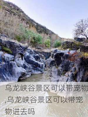 乌龙峡谷景区可以带宠物,乌龙峡谷景区可以带宠物进去吗