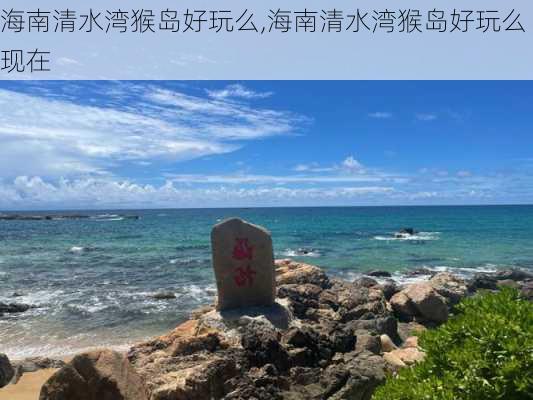 海南清水湾猴岛好玩么,海南清水湾猴岛好玩么现在