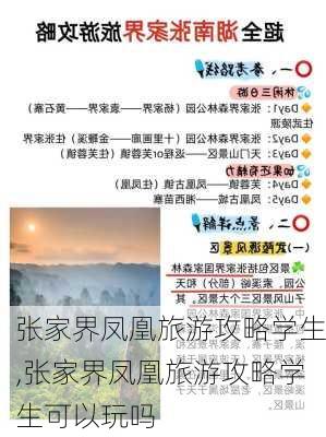 张家界凤凰旅游攻略学生,张家界凤凰旅游攻略学生可以玩吗