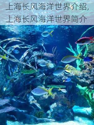 上海长风海洋世界介绍,上海长风海洋世界简介