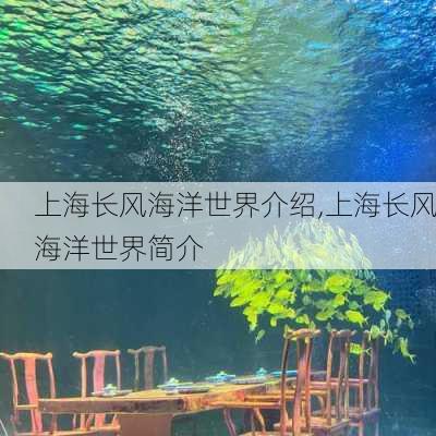 上海长风海洋世界介绍,上海长风海洋世界简介