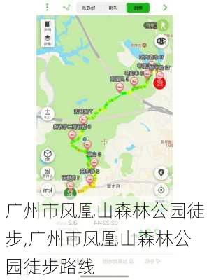 广州市凤凰山森林公园徒步,广州市凤凰山森林公园徒步路线