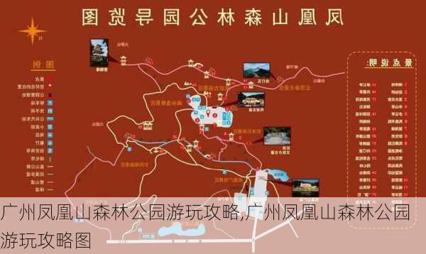 广州凤凰山森林公园游玩攻略,广州凤凰山森林公园游玩攻略图