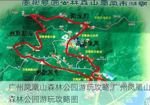 广州凤凰山森林公园游玩攻略,广州凤凰山森林公园游玩攻略图