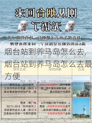 烟台站到养马岛怎么去,烟台站到养马岛怎么去最方便