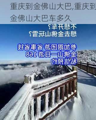 重庆到金佛山大巴,重庆到金佛山大巴车多久