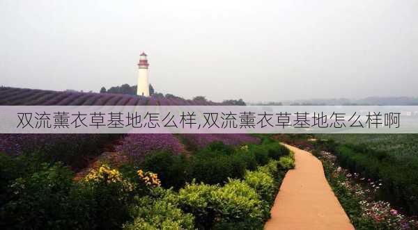 双流薰衣草基地怎么样,双流薰衣草基地怎么样啊