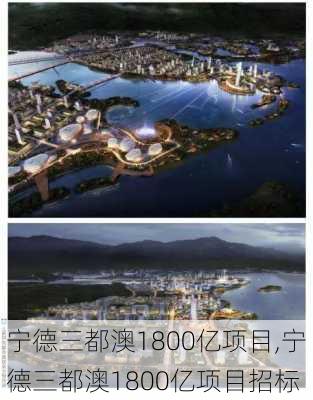 宁德三都澳1800亿项目,宁德三都澳1800亿项目招标