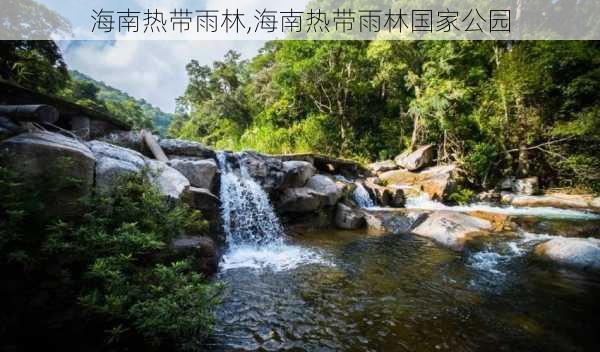 海南热带雨林,海南热带雨林国家公园