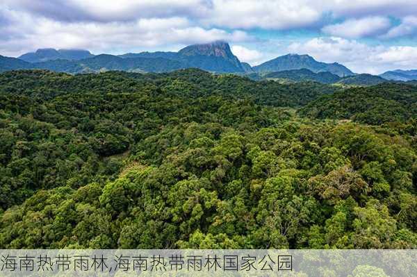 海南热带雨林,海南热带雨林国家公园