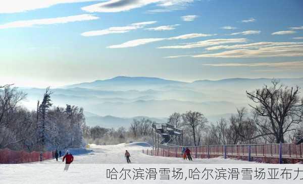 哈尔滨滑雪场,哈尔滨滑雪场亚布力