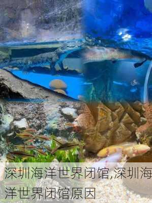 深圳海洋世界闭馆,深圳海洋世界闭馆原因