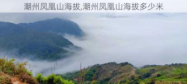 潮州凤凰山海拔,潮州凤凰山海拔多少米