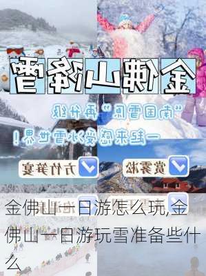 金佛山一日游怎么玩,金佛山一日游玩雪准备些什么