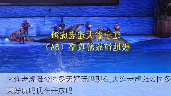 大连老虎滩公园冬天好玩吗现在,大连老虎滩公园冬天好玩吗现在开放吗