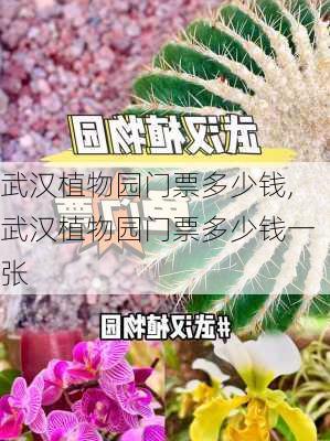 武汉植物园门票多少钱,武汉植物园门票多少钱一张