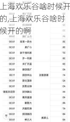 上海欢乐谷啥时候开的,上海欢乐谷啥时候开的啊