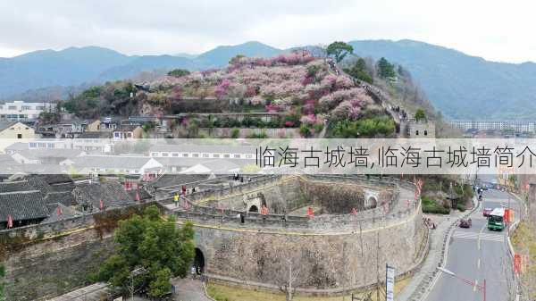 临海古城墙,临海古城墙简介