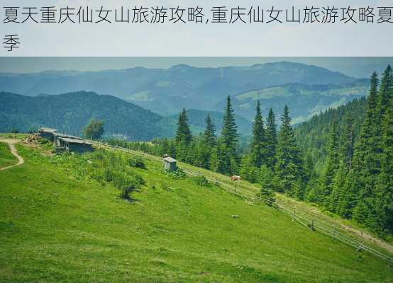 夏天重庆仙女山旅游攻略,重庆仙女山旅游攻略夏季