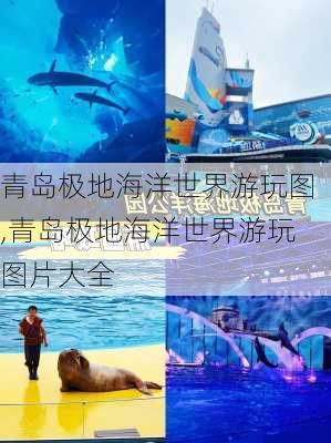 青岛极地海洋世界游玩图,青岛极地海洋世界游玩图片大全