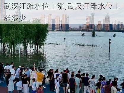 武汉江滩水位上涨,武汉江滩水位上涨多少