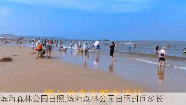 滨海森林公园日照,滨海森林公园日照时间多长