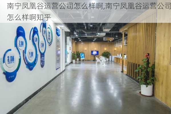 南宁凤凰谷运营公司怎么样啊,南宁凤凰谷运营公司怎么样啊知乎