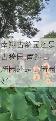 南翔古漪园还是古猗园,南翔古漪园还是古猗园好