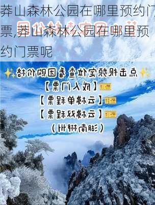 莽山森林公园在哪里预约门票,莽山森林公园在哪里预约门票呢