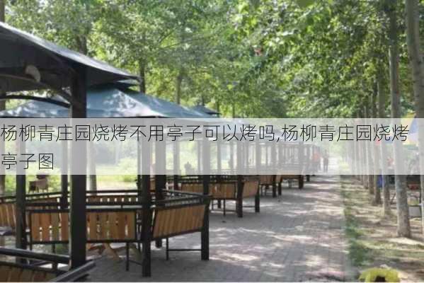 杨柳青庄园烧烤不用亭子可以烤吗,杨柳青庄园烧烤亭子图