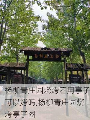 杨柳青庄园烧烤不用亭子可以烤吗,杨柳青庄园烧烤亭子图