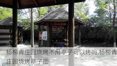 杨柳青庄园烧烤不用亭子可以烤吗,杨柳青庄园烧烤亭子图