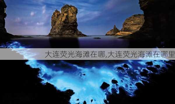 大连荧光海滩在哪,大连荧光海滩在哪里