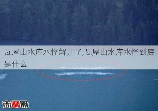 瓦屋山水库水怪解开了,瓦屋山水库水怪到底是什么