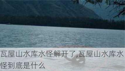 瓦屋山水库水怪解开了,瓦屋山水库水怪到底是什么