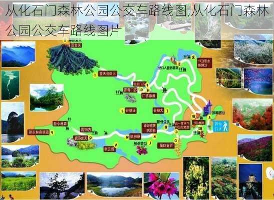 从化石门森林公园公交车路线图,从化石门森林公园公交车路线图片