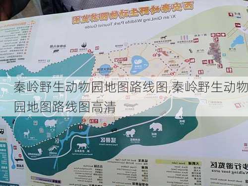 秦岭野生动物园地图路线图,秦岭野生动物园地图路线图高清