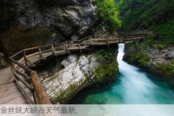 金丝峡大峡谷天气最新,