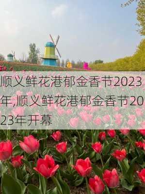 顺义鲜花港郁金香节2023年,顺义鲜花港郁金香节2023年开幕