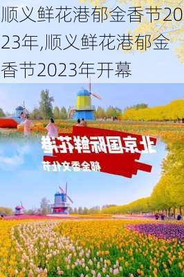 顺义鲜花港郁金香节2023年,顺义鲜花港郁金香节2023年开幕