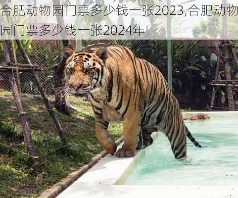 合肥动物园门票多少钱一张2023,合肥动物园门票多少钱一张2024年