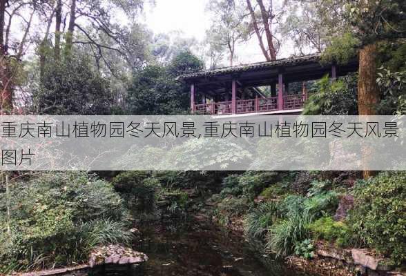 重庆南山植物园冬天风景,重庆南山植物园冬天风景图片