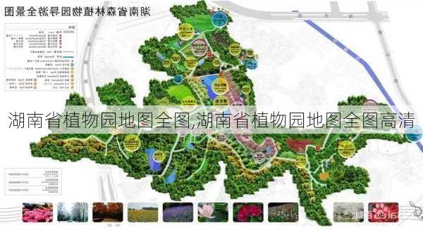 湖南省植物园地图全图,湖南省植物园地图全图高清